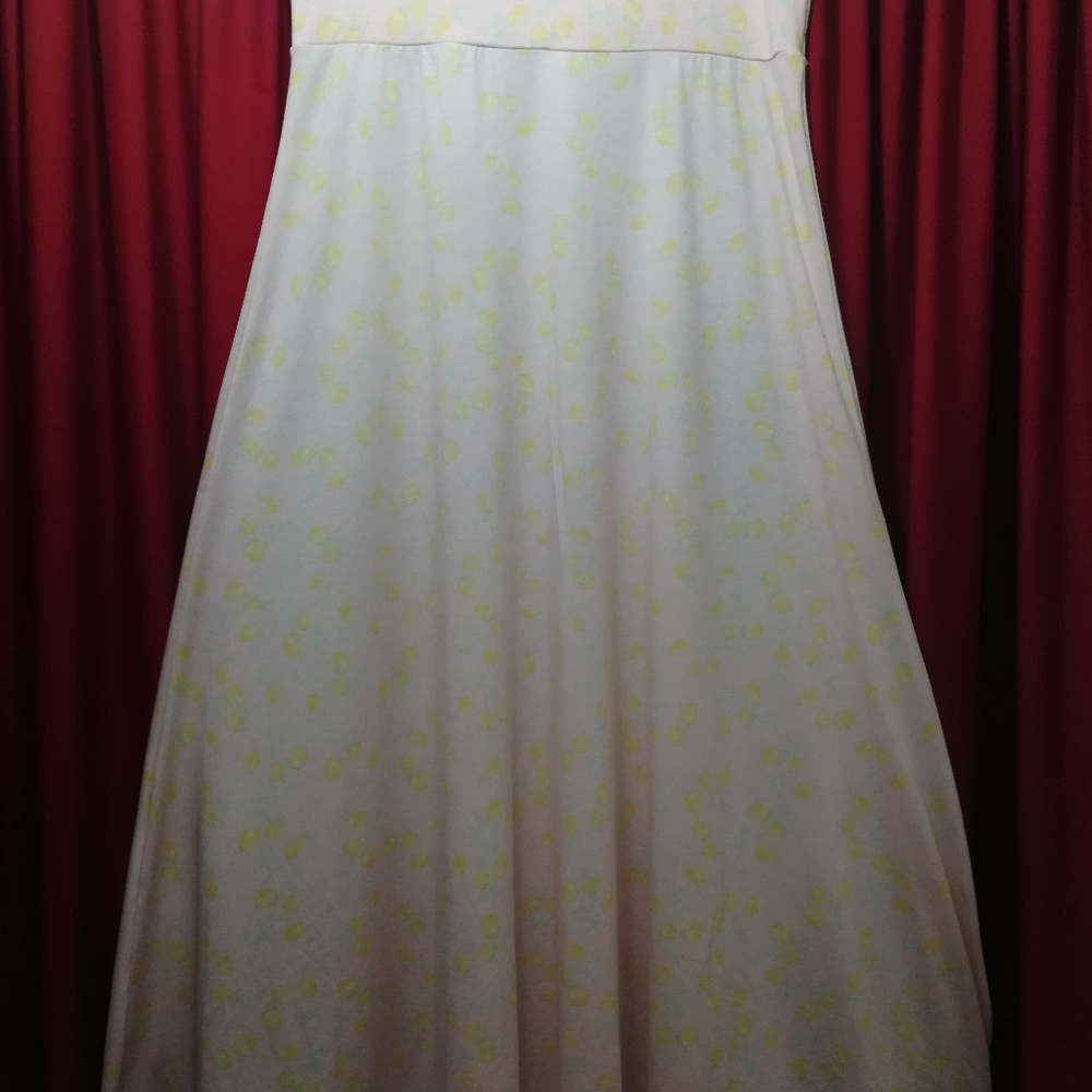 LuLaRoe Maxi Skirt/Dress, Large